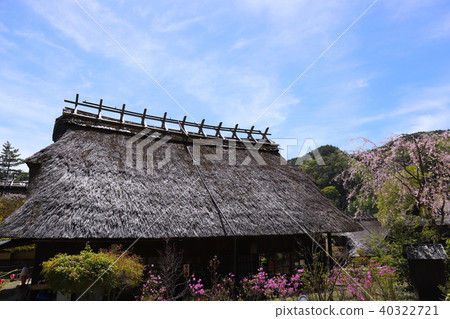 [Yamanashi Prefecture] Sato Neba, the west lake of healing in spring 40322721