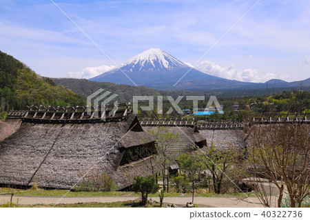 [山梨縣]佐藤根羽，春季治癒的西湖 40322736