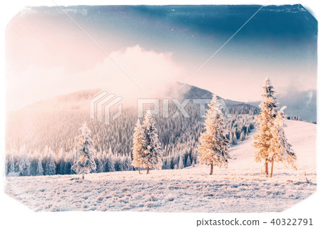Winter landscape with snow in mountains Carpathians, Ukraine.Vin 40322791