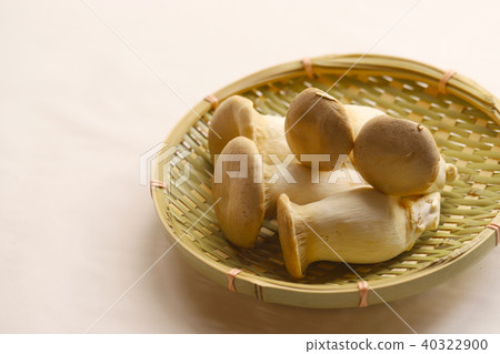 king oyster mushroom king oyster mushroom 40322900