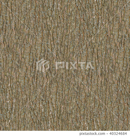 Wooden Bark. Seamless Tileable Texture. Wooden Bark. Seamless Tileable Texture. 40324684