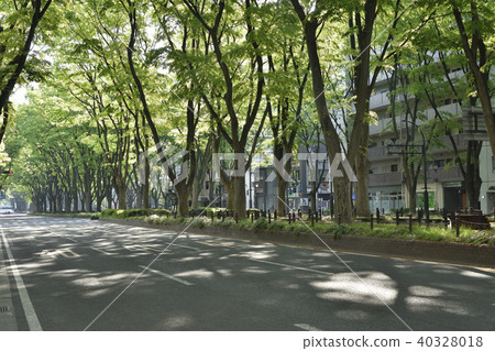 Fresh green Joshu Temple Street 2018 Fresh green Joshu Temple Street 2018 40328018