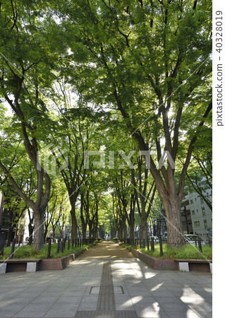 Fresh green Joshu Temple Street 2018 40328019