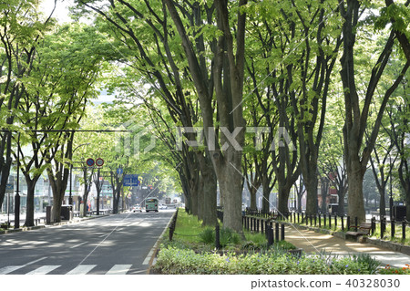 Fresh green Joshu Temple Street 2018 40328030