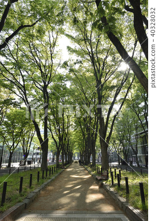 Fresh green Joshu Temple Street 2018 40328032