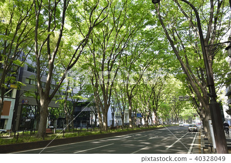 Fresh green Joshu Temple Street 2018 40328049