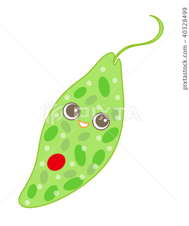 Euglena Midorimu character Euglena Midorimu character 40328499