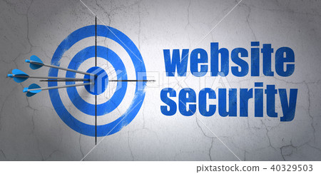 Web design concept: target and Website Security on wall background 40329503