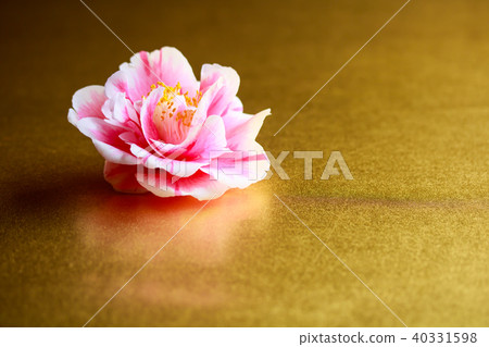 茶花光源 茶花光源 40331598