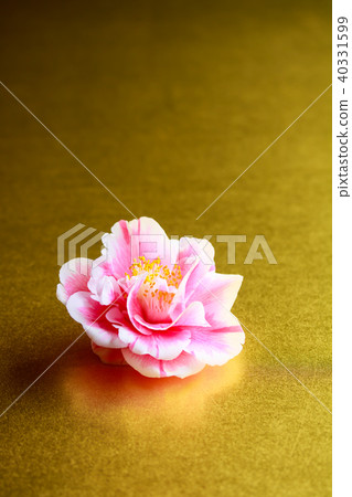 茶花光源 40331599