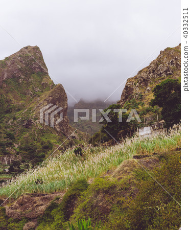 Small house nestled between steep rock overgrown with sugarcane plants. Santo Antao, Cape Verde 40332511