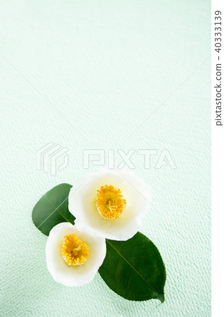 茶花/土uge 40333139