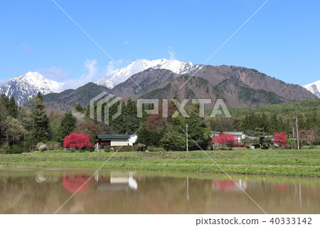 長野縣大町市稻田的春天 40333142
