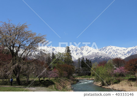 Nagano Prefecture Hakuba Village Oide Park 40333146