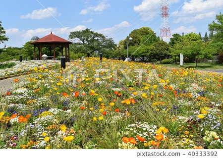 Todagawa綠色空間公園 Todagawa綠色空間公園 40333392