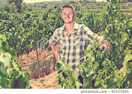 Young man gardener among grapes trees 40335691