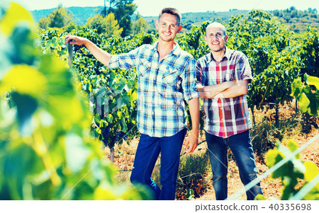 Two gardeners standing together in grapes tree yard 40335698