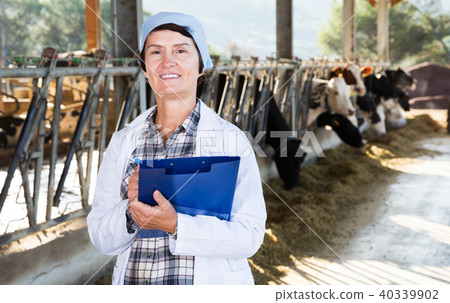 veterinarian with clipboard working on cow farm 40339902