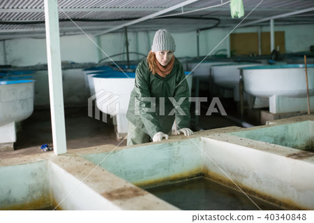 Woman near fish tank on sturgeon farm Woman near fish tank on sturgeon farm 40340848