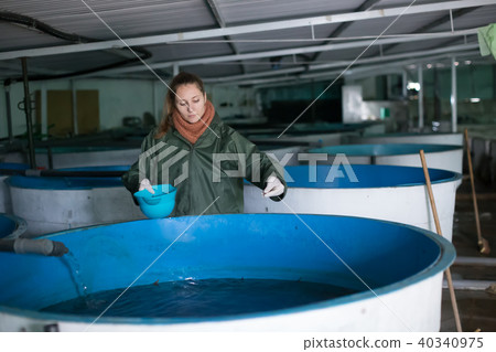 Female owner on sturgeon farm feeding fish 40340975