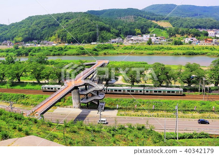Sakura footbridge and fresh cherry blossom trees Sakura footbridge and fresh cherry blossom trees 40342179