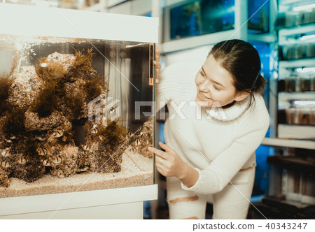 Teenager is looking at striped and colorful fishes 40343247