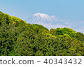 Spring Fuji seen from Mt. Hatsu in Shizuoka City 40343432