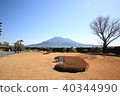 Sakurajima wishing from Senshin Garden Sakurajima wishing from Senshin Garden 40344990