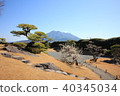 Sakurajima and Senganen Sakurajima and Senganen 40345034