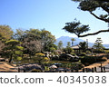 Sakurajima and Senganen Sakurajima and Senganen 40345038