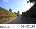 Ishigaki-dori in Chiran samurai residence Ishigaki-dori in Chiran samurai residence 40345186