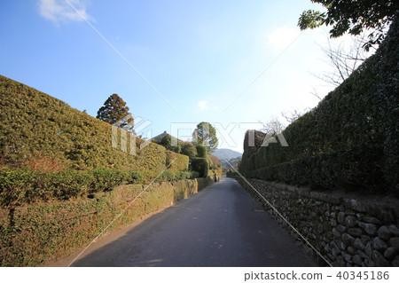 Ishigaki-dori在Chiran武士住宅 40345186