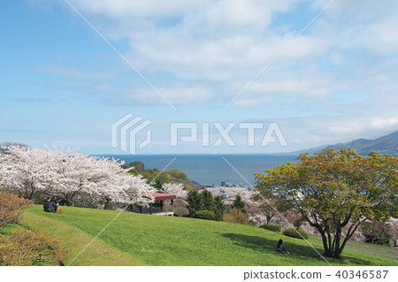 北海道小樽二宮綠化植物園的春天 40346587