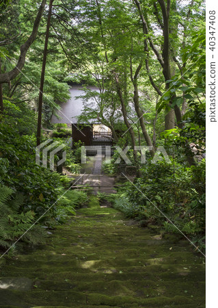 Myohoji Temple和Niomon(Omachi,Kamakura)的石階 Myohoji Temple和Niomon(Omachi,Kamakura)的石階 40347408