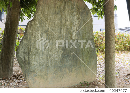 歷史遺址櫻井站遺址歷史公園 40347477