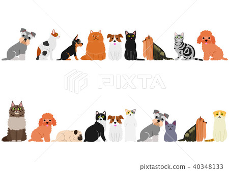 小狗和貓邊框設置 40348133