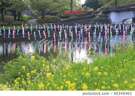 Koinobori Tatebayashi City, Gunma Prefecture Tsuru Tagawa 40348463