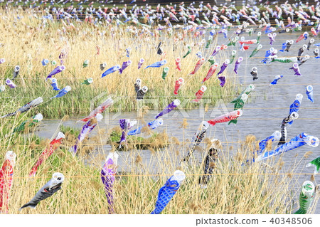 群馬縣Koinobori Tatebayashi City Tsuru Tagawa 40348506