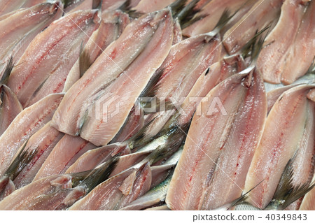 生沙丁魚開放 生沙丁魚開放 40349843