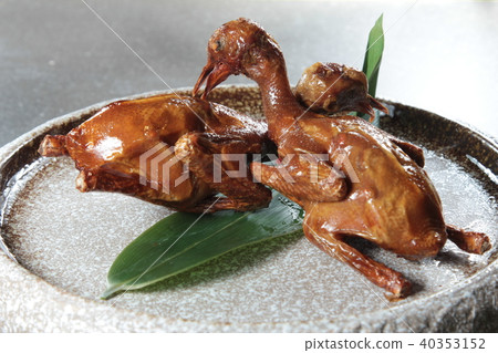 pigeon cuisine 40353152