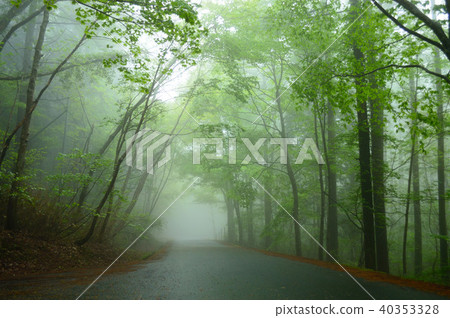 Misty new green forest Okayama forest park Misty new green forest Okayama forest park 40353328