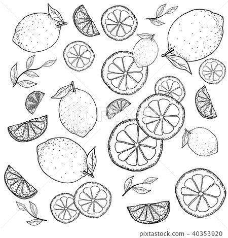 lemon line art