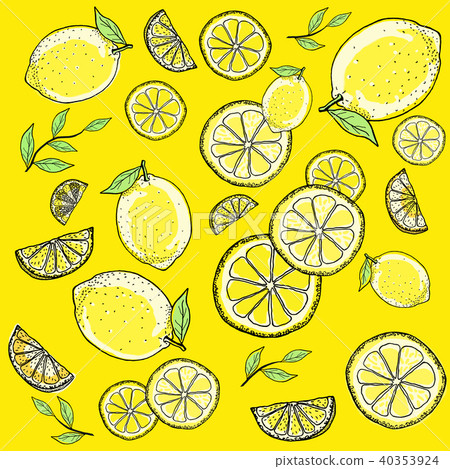 Lemon hand drawn line drawing - Stock Illustration ...