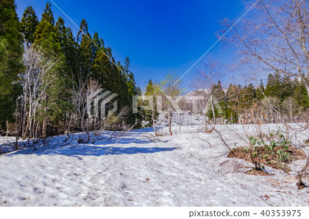 Forest road with snowfall 40353975
