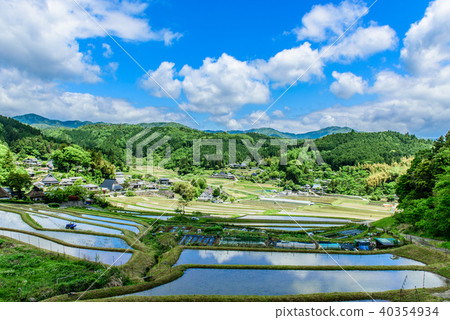 Rice terrace of Hase valley Rice terrace of Hase valley 40354934