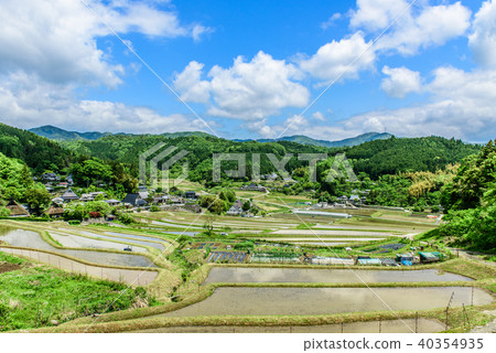 Hase山谷的水稻梯田 Hase山谷的水稻梯田 40354935