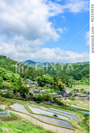  Rice terrace of Hase valley 40354939