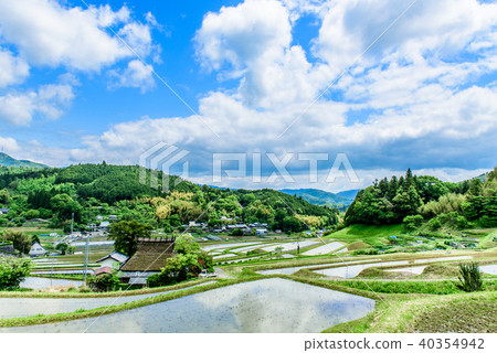 Rice terrace of Hase valley Rice terrace of Hase valley 40354942