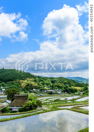 Hase山谷的水稻梯田 Hase山谷的水稻梯田 40354943