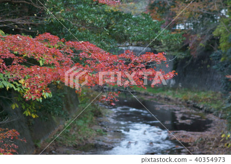 From Shukawa Higashishoji Bridge 40354973